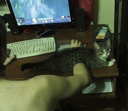 My personal assistant