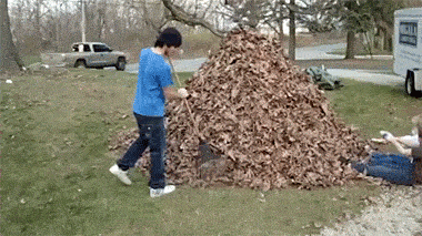 When the new architect joins