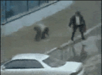When new comer tries to refactor code