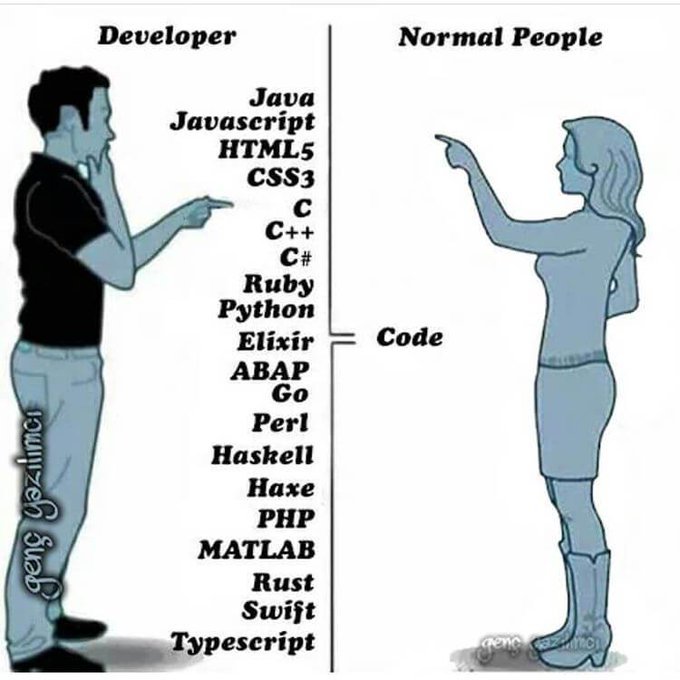 How normal people and developer look at coding.