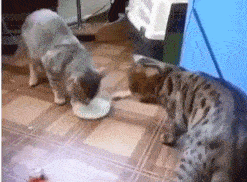 Multithreading explained