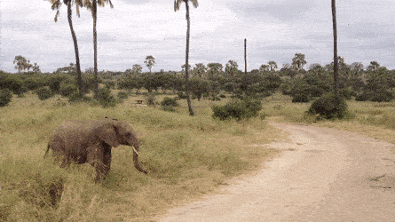 MySQL - Postgres - Hadoop