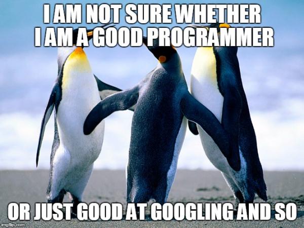 The truth about programmer