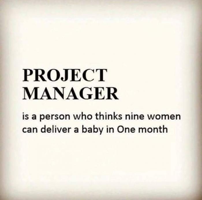 What is project manager?