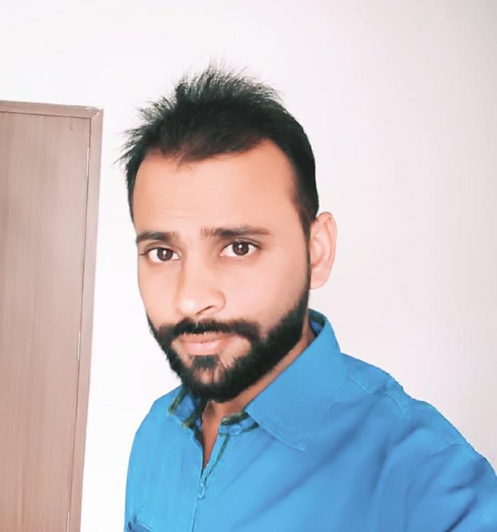 Software Developer