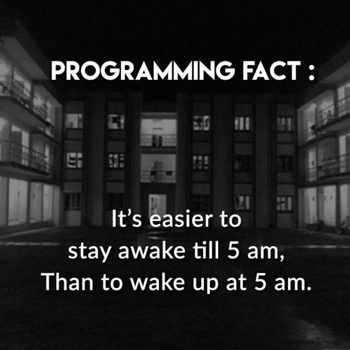 Programming fact
