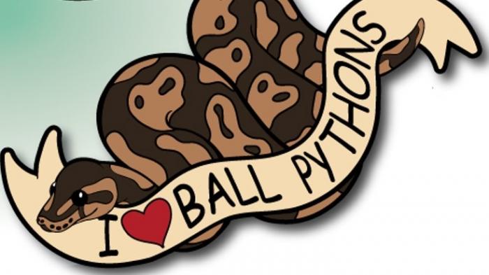 Love with Python