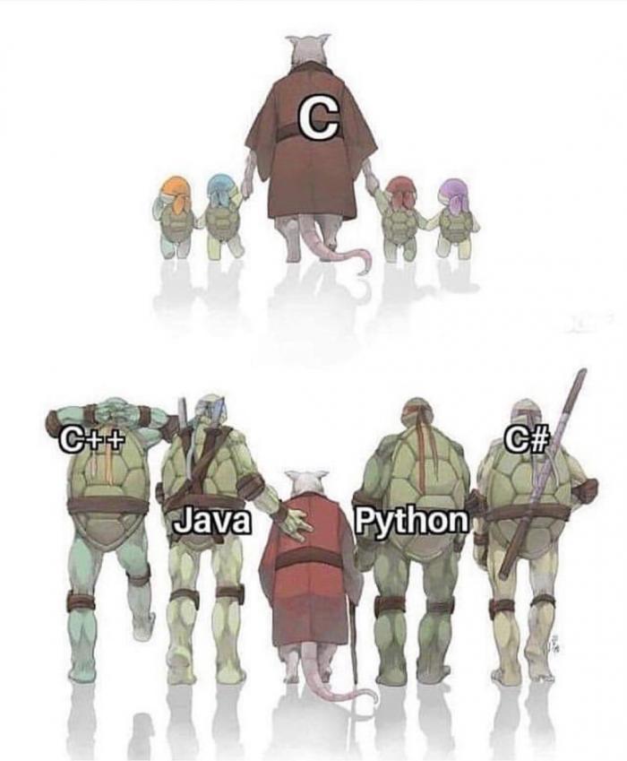 Time flies