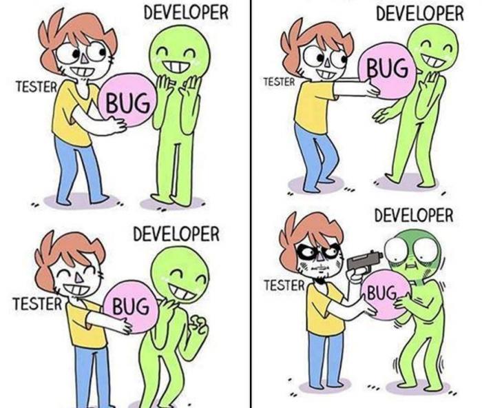 Relationship between tester and developer