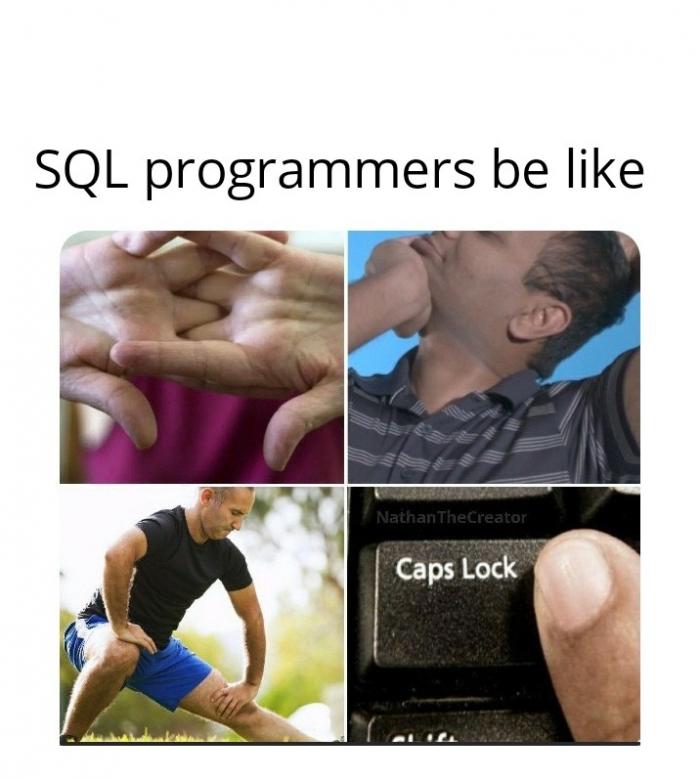 Daily life of SQL programmers