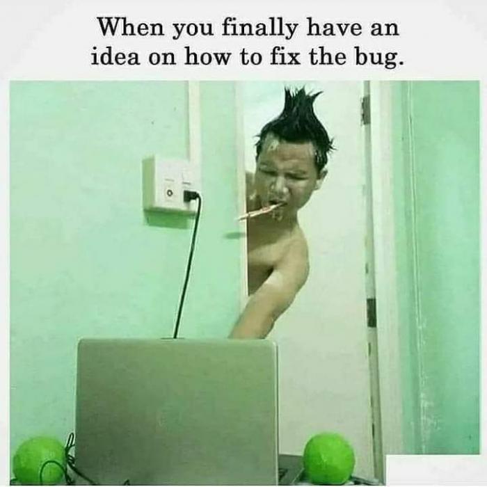 When knowing how to fix a bug