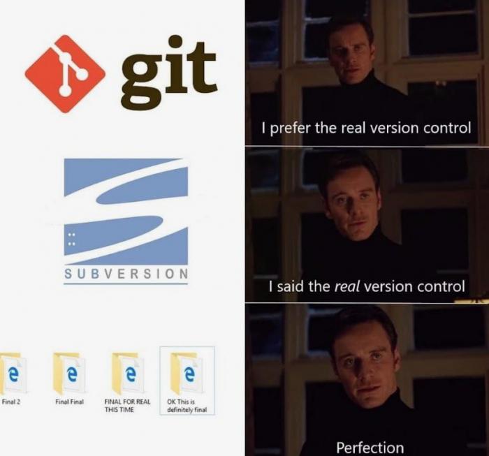 The real version control system