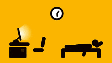 A typical day of a programmer