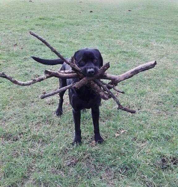 When requirement meets implementation