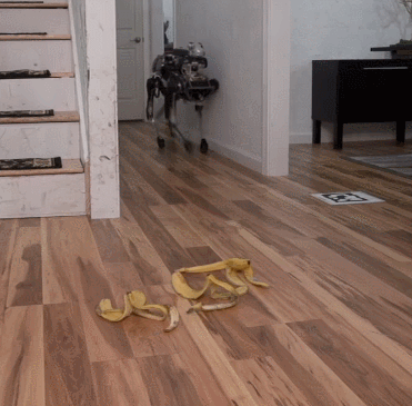Falling into human trap