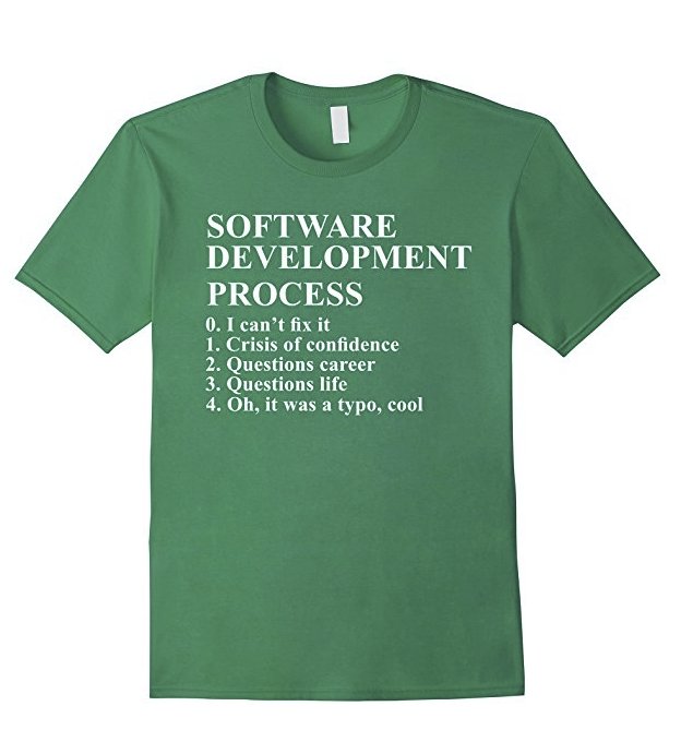 Software development process