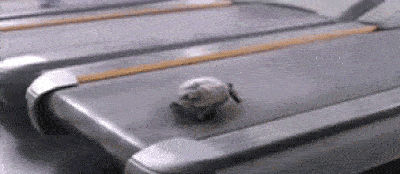 Sprint cycle