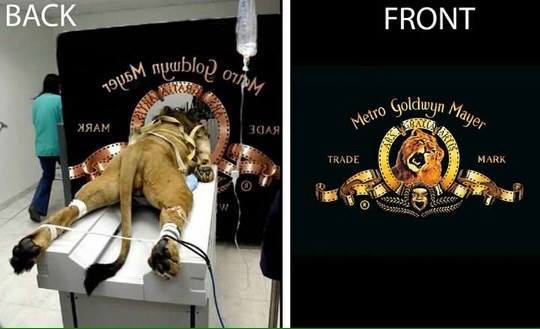 Back end and front end
